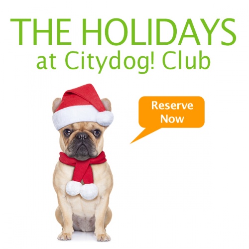 Reserve Now For The Holidays